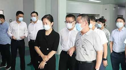 市委副书记、代市长盛蕾一行莅临公司视察调研